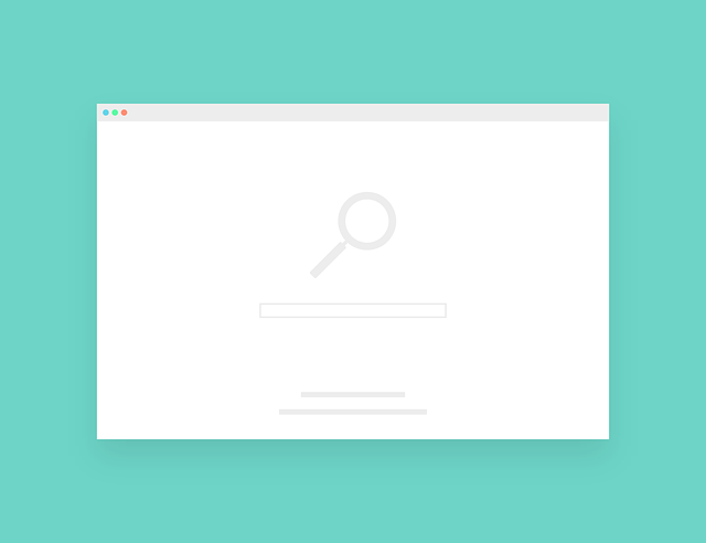 Importancia del buscador interno de una web